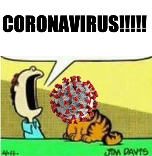 John Yelling at Garfield | CORONAVIRUS!!!!! | image tagged in john yelling at garfield | made w/ Imgflip meme maker