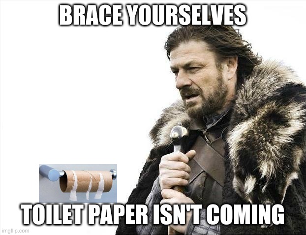 Brace Yourselves X is Coming Meme | BRACE YOURSELVES; TOILET PAPER ISN'T COMING | image tagged in memes,brace yourselves x is coming | made w/ Imgflip meme maker