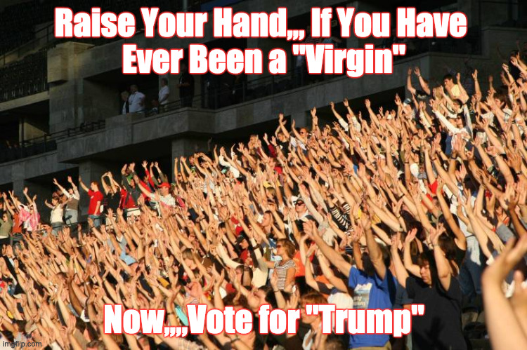 Raise Your Hand | Raise Your Hand,,, If You Have 
Ever Been a "Virgin"; Now,,,,Vote for "Trump" | image tagged in raise,donald trump,trump,trump 2020,vote trump | made w/ Imgflip meme maker