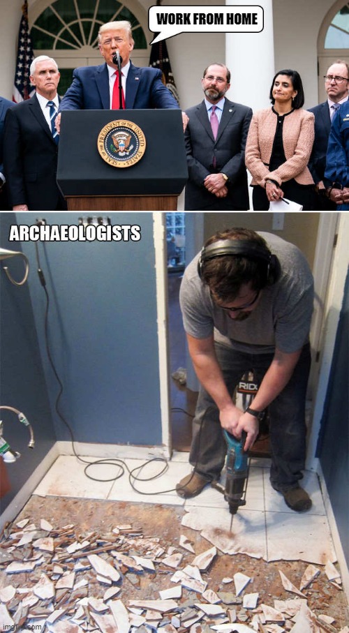 we must all do our part | WORK FROM HOME | image tagged in work at home,archaeologist | made w/ Imgflip meme maker