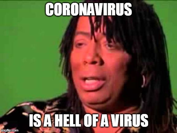 Rick James | CORONAVIRUS; IS A HELL OF A VIRUS | image tagged in rick james,coronavirus | made w/ Imgflip meme maker