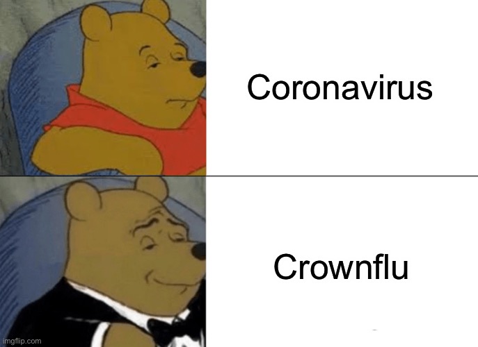 Tuxedo Winnie The Pooh Meme | Coronavirus; Crownflu | image tagged in memes,tuxedo winnie the pooh | made w/ Imgflip meme maker