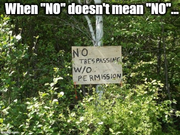 Hmmm | When "NO" doesn't mean "NO"... | image tagged in wtf,road signs,lol so funny,too funny,hmmm,funny | made w/ Imgflip meme maker