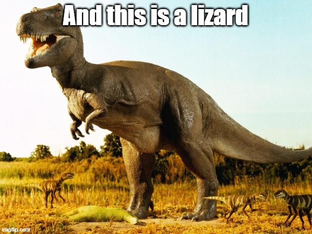 T-Rex | And this is a lizard | image tagged in t-rex | made w/ Imgflip meme maker