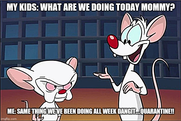 MY KIDS: WHAT ARE WE DOING TODAY MOMMY? ME: SAME THING WE'VE BEEN DOING ALL WEEK DANGIT....QUARANTINE!! | image tagged in pinky and the brain,quarantine | made w/ Imgflip meme maker