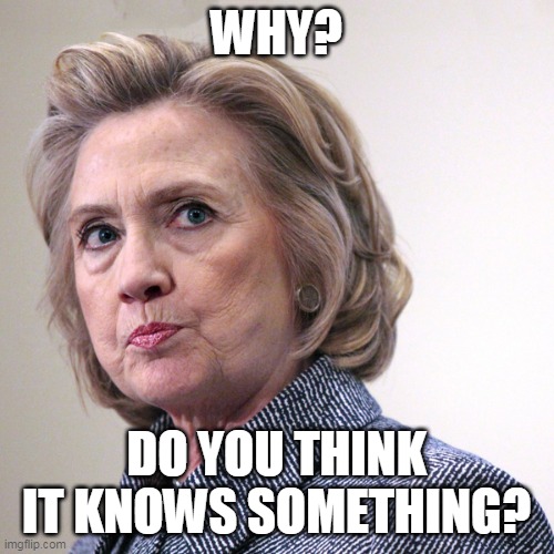 hillary clinton pissed | WHY? DO YOU THINK IT KNOWS SOMETHING? | image tagged in hillary clinton pissed | made w/ Imgflip meme maker