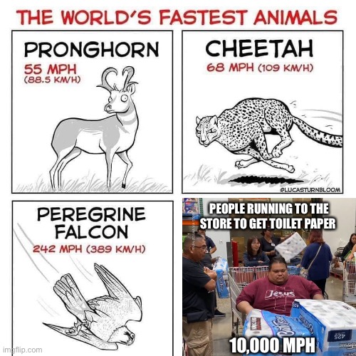 The world's fastest animals | PEOPLE RUNNING TO THE STORE TO GET TOILET PAPER; 10,000 MPH | image tagged in the world's fastest animals | made w/ Imgflip meme maker