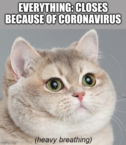 Heavy Breathing Cat Meme | EVERYTHING: CLOSES BECAUSE OF CORONAVIRUS | image tagged in memes,heavy breathing cat,coronavirus | made w/ Imgflip meme maker
