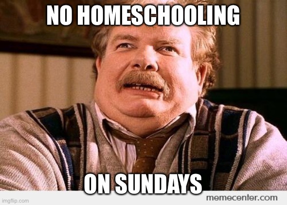 Homeschool on Sundays | NO HOMESCHOOLING; ON SUNDAYS | image tagged in homeschool | made w/ Imgflip meme maker