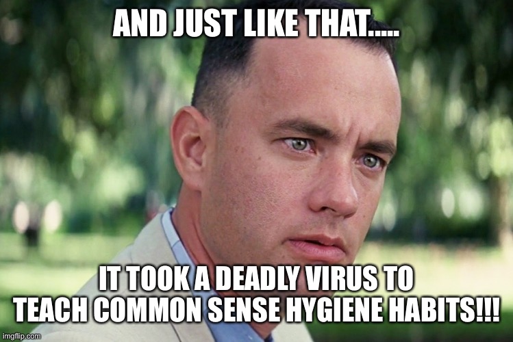 And Just Like That Meme | AND JUST LIKE THAT..... IT TOOK A DEADLY VIRUS TO TEACH COMMON SENSE HYGIENE HABITS!!! | image tagged in memes,and just like that | made w/ Imgflip meme maker