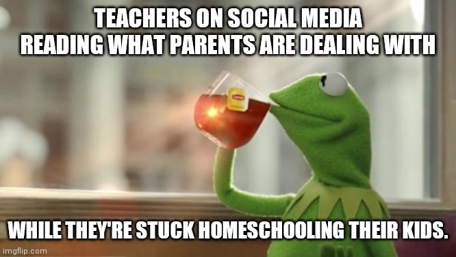 Kermit tea | TEACHERS ON SOCIAL MEDIA READING WHAT PARENTS ARE DEALING WITH; WHILE THEY'RE STUCK HOMESCHOOLING THEIR KIDS. | image tagged in kermit tea | made w/ Imgflip meme maker