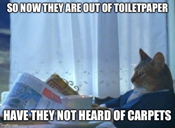 I Should Buy A Boat Cat | SO NOW THEY ARE OUT OF TOILETPAPER; HAVE THEY NOT HEARD OF CARPETS | image tagged in memes,i should buy a boat cat | made w/ Imgflip meme maker