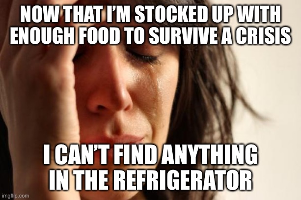 First World Problems | NOW THAT I’M STOCKED UP WITH ENOUGH FOOD TO SURVIVE A CRISIS; I CAN’T FIND ANYTHING IN THE REFRIGERATOR | image tagged in memes,first world problems | made w/ Imgflip meme maker