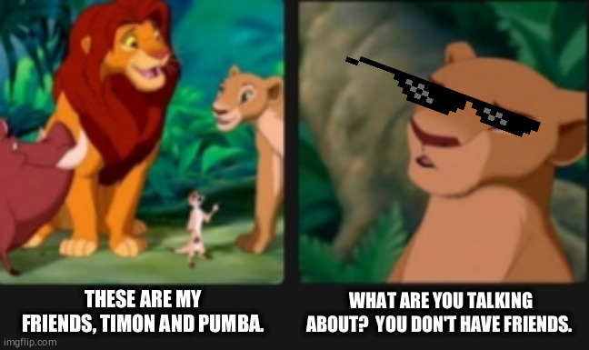 Roasted simba | THESE ARE MY FRIENDS, TIMON AND PUMBA. WHAT ARE YOU TALKING ABOUT?  YOU DON'T HAVE FRIENDS. | image tagged in lion king,memes,nala roasting simba,funny memes,animals,very funny | made w/ Imgflip meme maker