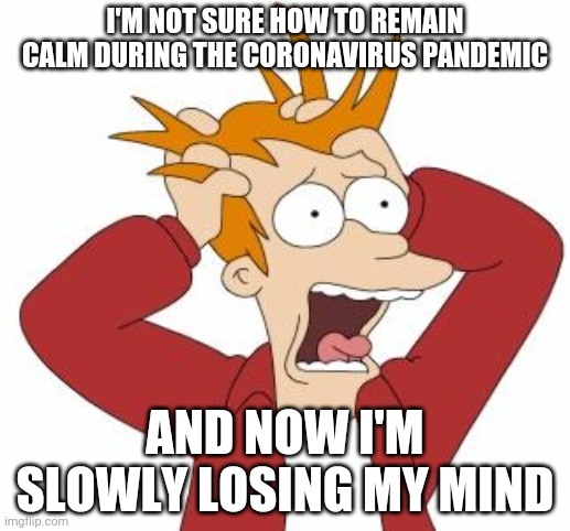 How Do I Remain Calm? | I'M NOT SURE HOW TO REMAIN CALM DURING THE CORONAVIRUS PANDEMIC; AND NOW I'M SLOWLY LOSING MY MIND | image tagged in fry freaking out | made w/ Imgflip meme maker