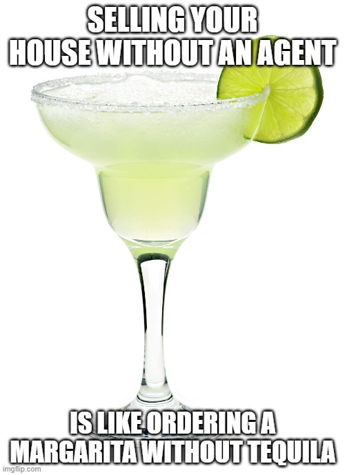 margarita | SELLING YOUR HOUSE WITHOUT AN AGENT; IS LIKE ORDERING A MARGARITA WITHOUT TEQUILA | image tagged in margarita | made w/ Imgflip meme maker