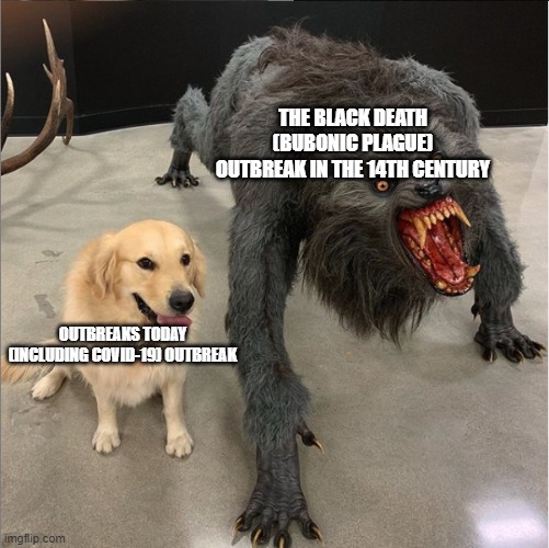 dog vs werewolf | THE BLACK DEATH (BUBONIC PLAGUE) OUTBREAK IN THE 14TH CENTURY; OUTBREAKS TODAY (INCLUDING COVID-19) OUTBREAK | image tagged in dog vs werewolf | made w/ Imgflip meme maker