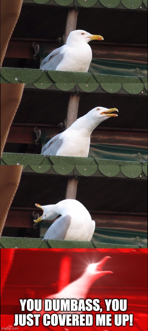 Inhaling Seagull Meme | YOU DUMBASS, YOU JUST COVERED ME UP! | image tagged in memes,inhaling seagull | made w/ Imgflip meme maker
