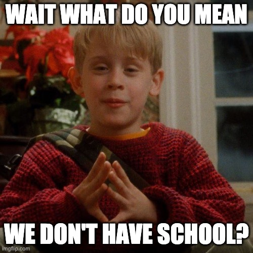 WAIT WHAT DO YOU MEAN; WE DON'T HAVE SCHOOL? | image tagged in coronavirus | made w/ Imgflip meme maker