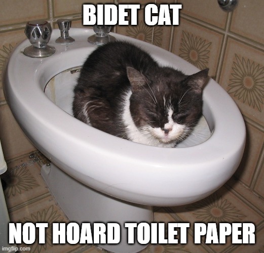 Bidet Cat | BIDET CAT; NOT HOARD TOILET PAPER | image tagged in toilet paper,cat,bidet,hoarding,corona,coronavirus | made w/ Imgflip meme maker