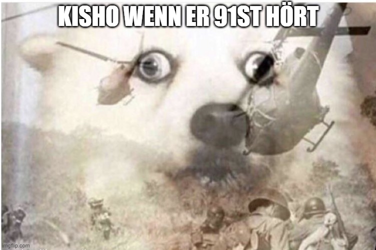 KISHO WENN ER 91ST HÖRT | image tagged in vietnam dog | made w/ Imgflip meme maker