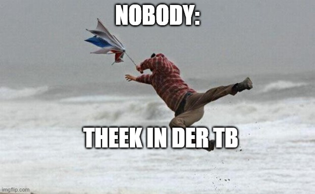 windy | NOBODY: THEEK IN DER TB | image tagged in windy | made w/ Imgflip meme maker