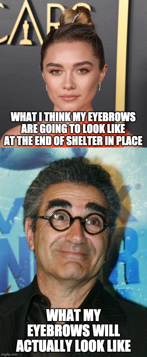WHAT I THINK MY EYEBROWS ARE GOING TO LOOK LIKE AT THE END OF SHELTER IN PLACE; WHAT MY EYEBROWS WILL ACTUALLY LOOK LIKE | image tagged in covid19,coronavirus | made w/ Imgflip meme maker