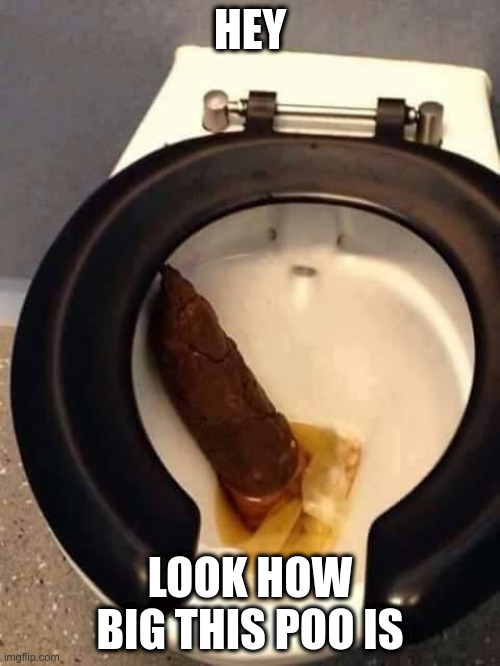 Big shit | HEY; LOOK HOW BIG THIS POO IS | image tagged in big shit | made w/ Imgflip meme maker