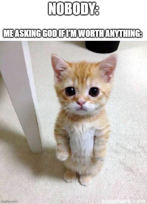 Cute Cat Meme | NOBODY:; ME ASKING GOD IF I'M WORTH ANYTHING: | image tagged in memes,cute cat | made w/ Imgflip meme maker