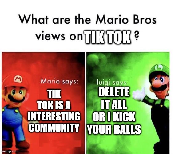 Mario Bros Views | TIK TOK; TIK TOK IS A INTERESTING COMMUNITY; DELETE IT ALL OR I KICK YOUR BALLS | image tagged in mario bros views | made w/ Imgflip meme maker