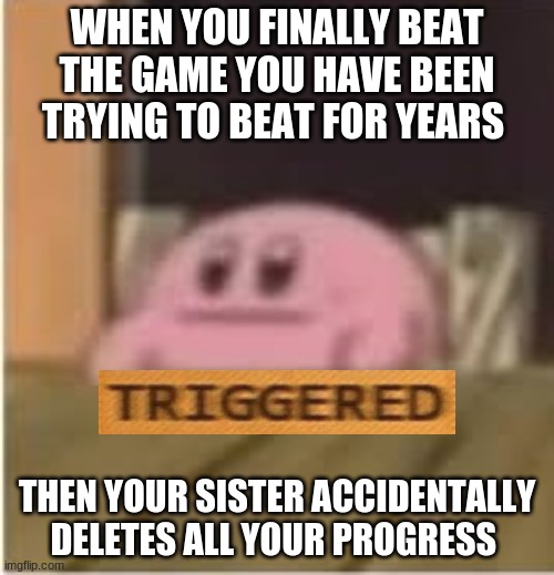 Kirby | WHEN YOU FINALLY BEAT THE GAME YOU HAVE BEEN TRYING TO BEAT FOR YEARS; THEN YOUR SISTER ACCIDENTALLY DELETES ALL YOUR PROGRESS | image tagged in kirby | made w/ Imgflip meme maker