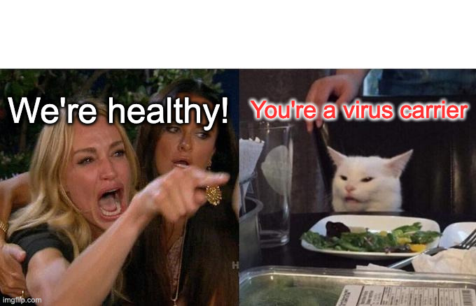 Woman Yelling At Cat | We're healthy! You're a virus carrier | image tagged in memes,woman yelling at cat | made w/ Imgflip meme maker