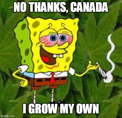 Weed | NO THANKS, CANADA I GROW MY OWN | image tagged in weed | made w/ Imgflip meme maker