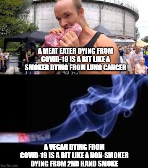 Avoid viruses- Go vegan |  A MEAT EATER DYING FROM COVID-19 IS A BIT LIKE A SMOKER DYING FROM LUNG CANCER; A VEGAN DYING FROM COVID-19 IS A BIT LIKE A NON-SMOKER DYING FROM 2ND HAND SMOKE | image tagged in vegan | made w/ Imgflip meme maker
