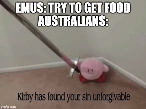 Kirby has found your sin unforgivable |  EMUS: TRY TO GET FOOD
AUSTRALIANS: | image tagged in kirby has found your sin unforgivable | made w/ Imgflip meme maker