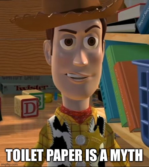 Sceptical Woody | TOILET PAPER IS A MYTH | image tagged in sceptical woody | made w/ Imgflip meme maker