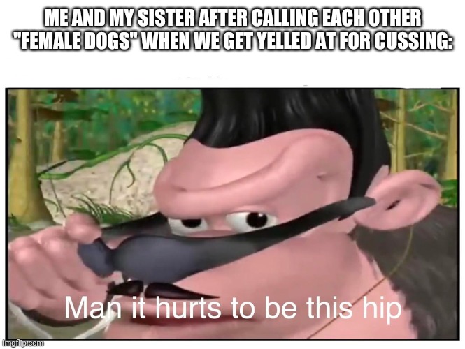 Man it Hurts to Be This Hip | ME AND MY SISTER AFTER CALLING EACH OTHER "FEMALE DOGS" WHEN WE GET YELLED AT FOR CUSSING: | image tagged in man it hurts to be this hip | made w/ Imgflip meme maker