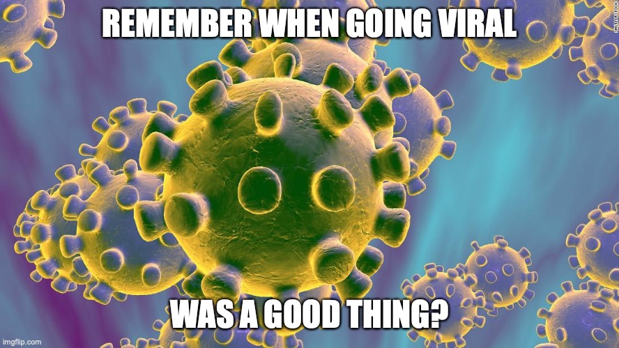 Coronavirus | REMEMBER WHEN GOING VIRAL; WAS A GOOD THING? | image tagged in coronavirus | made w/ Imgflip meme maker