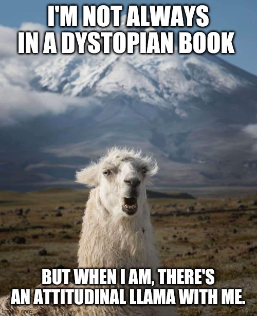 Llama | I'M NOT ALWAYS IN A DYSTOPIAN BOOK; BUT WHEN I AM, THERE'S AN ATTITUDINAL LLAMA WITH ME. | image tagged in llama | made w/ Imgflip meme maker