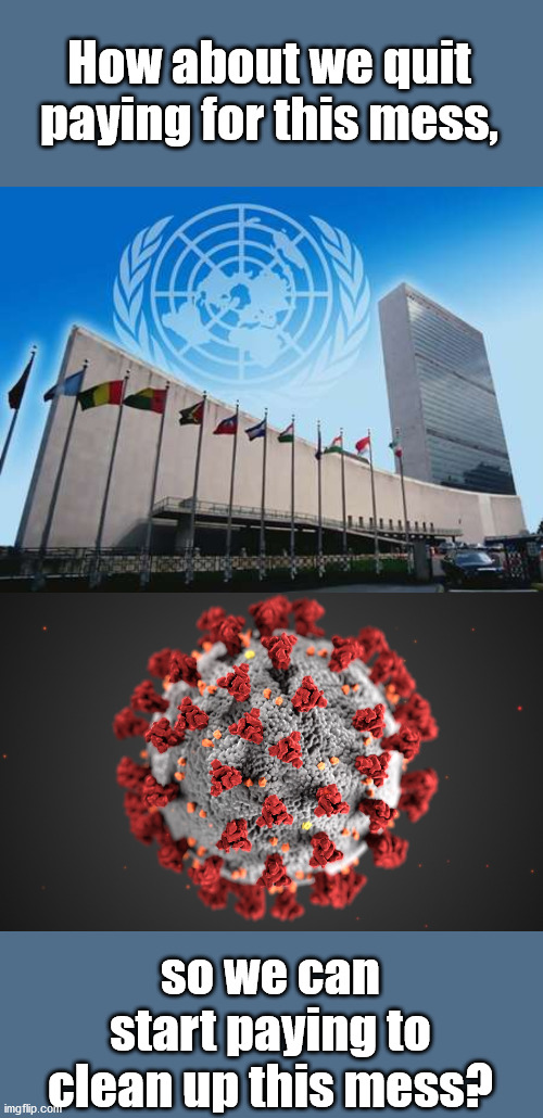 3 Cheers for W.H.O. (just kidding!) | How about we quit paying for this mess, so we can start paying to clean up this mess? | image tagged in united nations,coronavirus | made w/ Imgflip meme maker