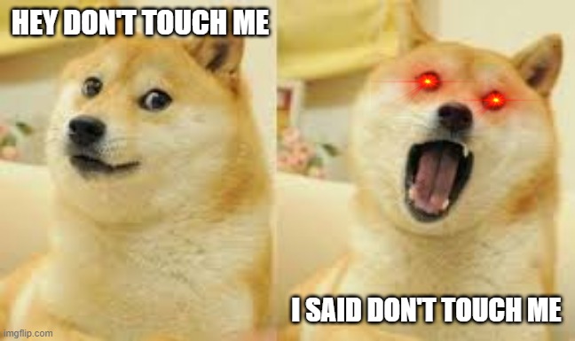doge 2 | HEY DON'T TOUCH ME; I SAID DON'T TOUCH ME | image tagged in doge 2 | made w/ Imgflip meme maker