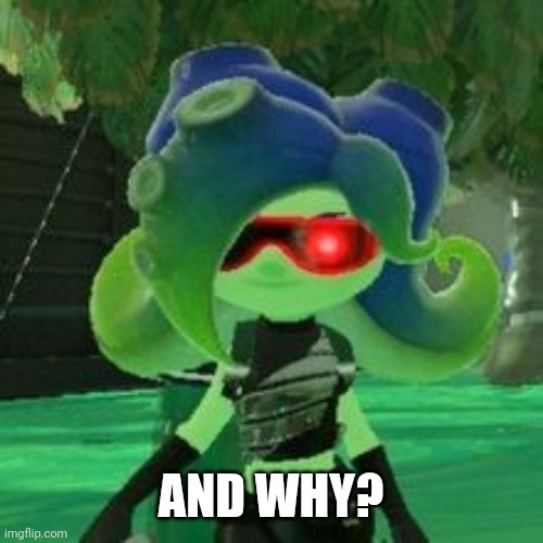 Sanitized Octoling | AND WHY? | image tagged in sanitized octoling | made w/ Imgflip meme maker