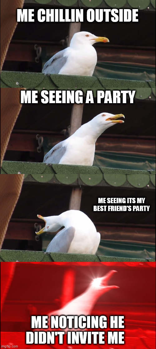 Inhaling Seagull Meme | ME CHILLIN OUTSIDE; ME SEEING A PARTY; ME SEEING ITS MY BEST FRIEND'S PARTY; ME NOTICING HE DIDN'T INVITE ME | image tagged in memes,inhaling seagull | made w/ Imgflip meme maker