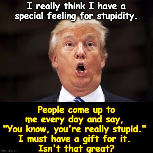 Oh, that's great alright. Sure is. Yup. | I really think I have a special feeling for stupidity. People come up to me every day and say, 
"You know, you're really stupid." 
I must have a gift for it. 
Isn't that great? | image tagged in trump stupid face,trump,stupid,vanity,idiot,fool | made w/ Imgflip meme maker