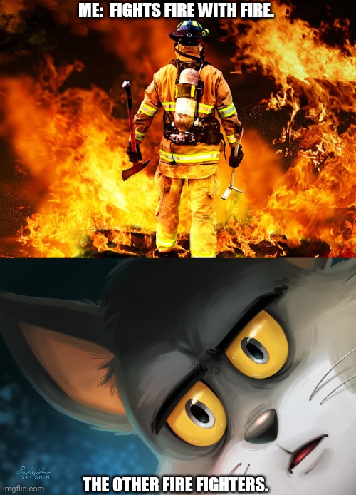 It's a Class D! | ME:  FIGHTS FIRE WITH FIRE. THE OTHER FIRE FIGHTERS. | image tagged in fireman,unsettled tom stylized | made w/ Imgflip meme maker