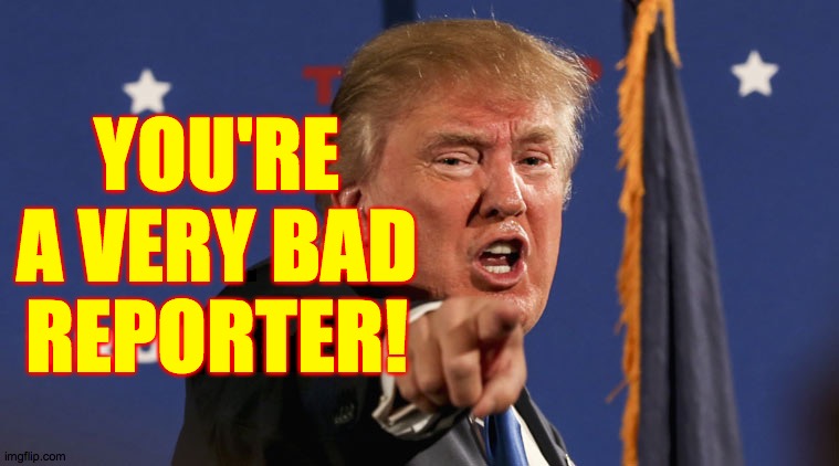 trump-angry-finger-fake-news | YOU'RE A VERY BAD REPORTER! | image tagged in trump-angry-finger-fake-news | made w/ Imgflip meme maker