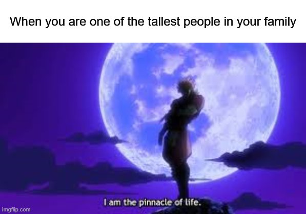 I'm One Of The Tallest In My Family. If Not That, Then I'm THE Tallest In My Family | When you are one of the tallest people in your family | image tagged in i am the pinnacle of life,memes,family | made w/ Imgflip meme maker