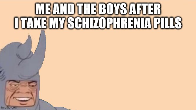 Me and the Boys Just Me | ME AND THE BOYS AFTER I TAKE MY SCHIZOPHRENIA PILLS | image tagged in me and the boys just me | made w/ Imgflip meme maker