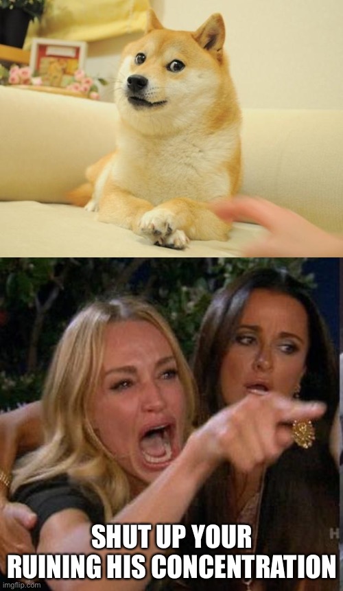 SHUT UP YOUR RUINING HIS CONCENTRATION | image tagged in memes,doge 2,screaming at | made w/ Imgflip meme maker