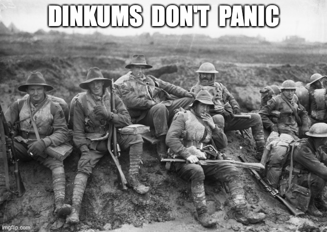 Dinkums Don't Panic | DINKUMS  DON'T  PANIC | image tagged in dinkums,aussie,diggers | made w/ Imgflip meme maker
